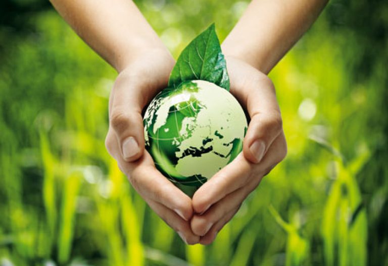https://arquimedia.s3.amazonaws.com/375/vicaria/ecologia-768x528jpg.jpg